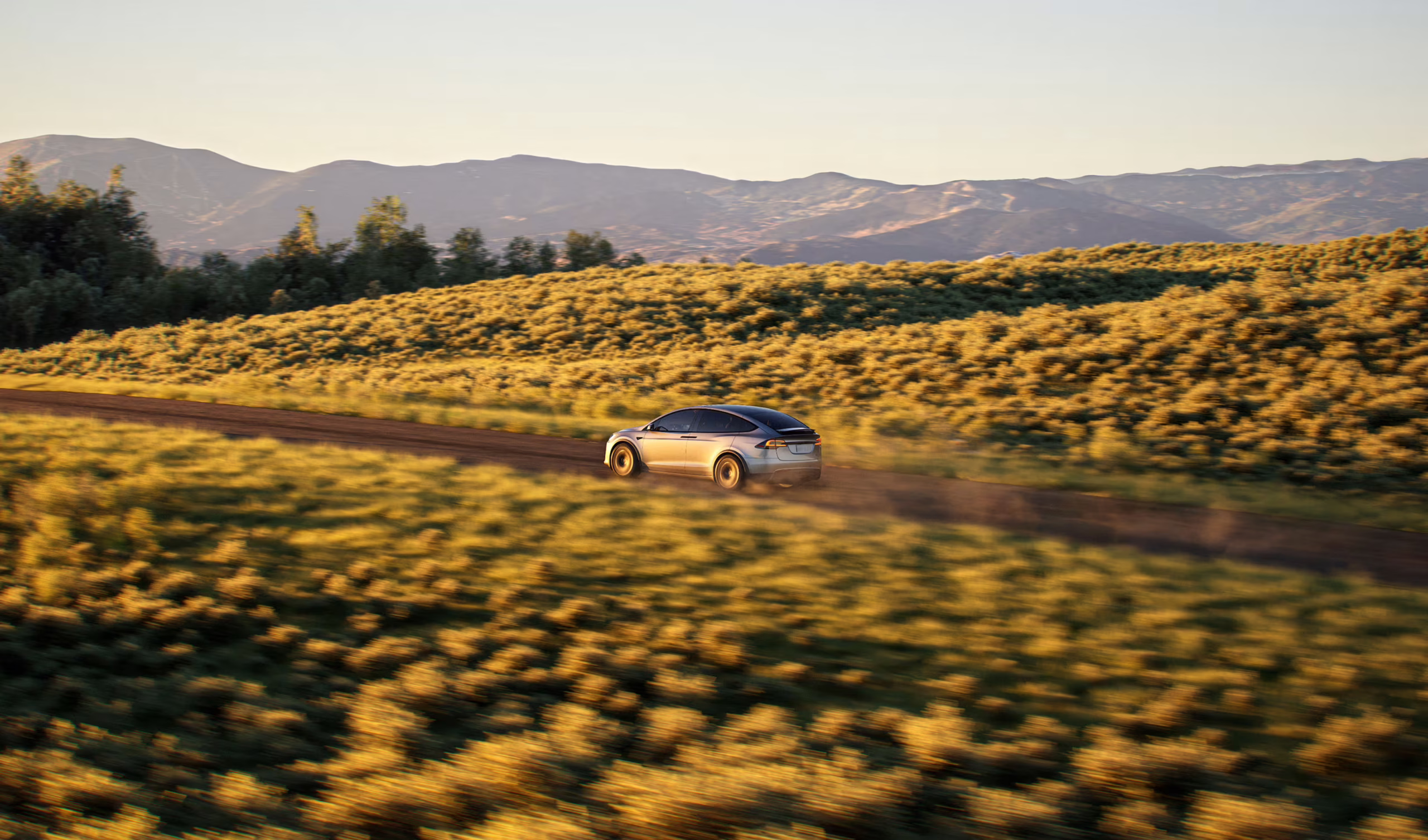 Tesla Model X parked at scenic overlook with Falcon Wing doors open under sunset sky – Tesla Model X referral code benefits 2025